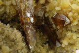 Honey Colored Barite Crystals on Fluorescent Calcite - Elk Creek #348128-2